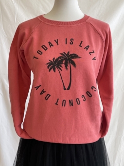 Sweater "Lazy Coconut day" Rosa 